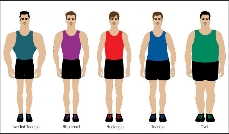 5 Loại Body Chính