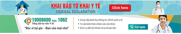 Truy cập vào cổng thông tin khai báo điện tử