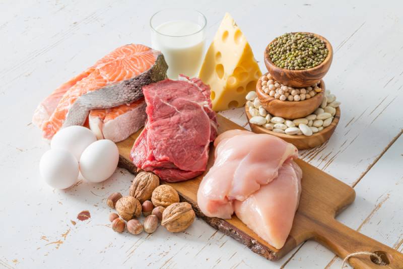 Nhóm chất đạm - thực phẩm làm tăng trí nhớ