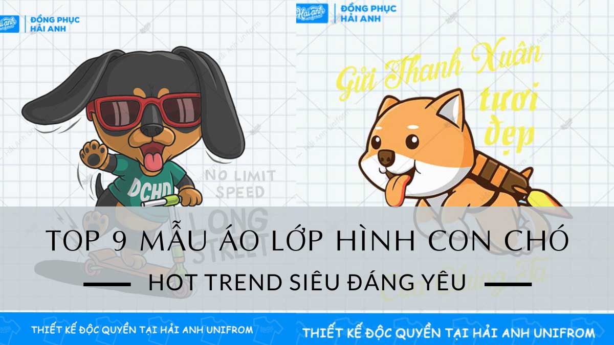 Top 9 Áo Lớp Hình Con Chó Hot Trend Siêu Đáng Yêu Tuổi Teen