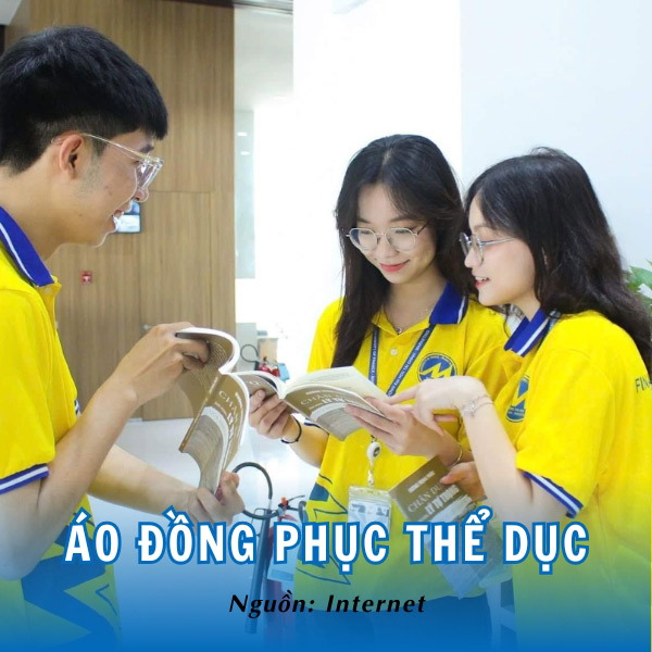 Áo đồng phục thể dục trường Tài chính