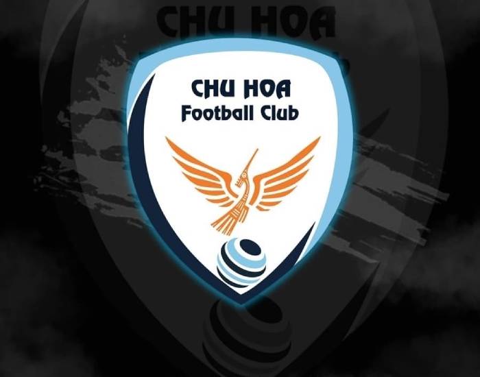 Mẫu logo chim lạc hồng Việt Nam