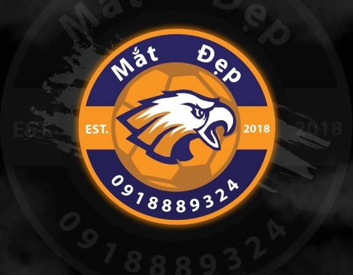 Kiểu dáng logo áo áo đá bóng lớp phong cách