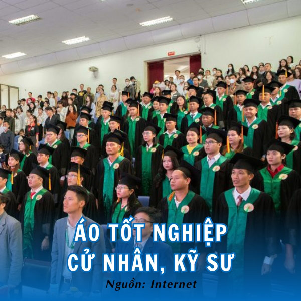 Mẫu áo tốt nghiệp cử nhân trường đại học Đà Lạt 