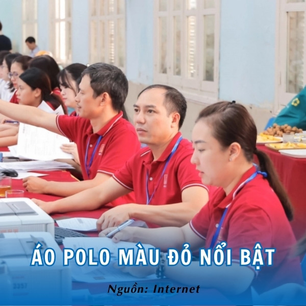 Áo kiểu polo lé viền của trường đại học Hà Nội 