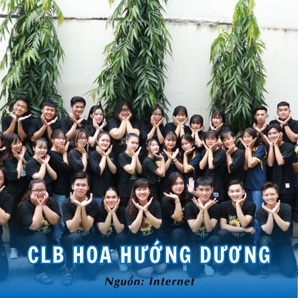 CLB Hoa hướng dương thân thiện và ấn tượng