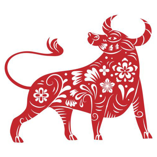 áo lớp logo con trâu hình 2