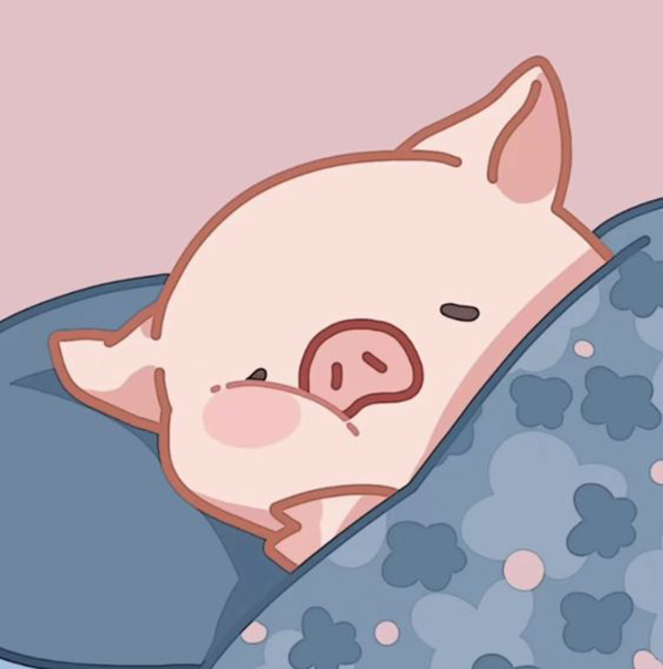 Áo lớp logo con lợn hình chibi dễ thương