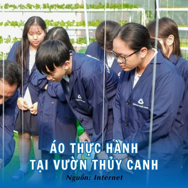 Áo đồng phục Trường THPT Lương Thế Vinh khi thực thành tại vườn thủy canh