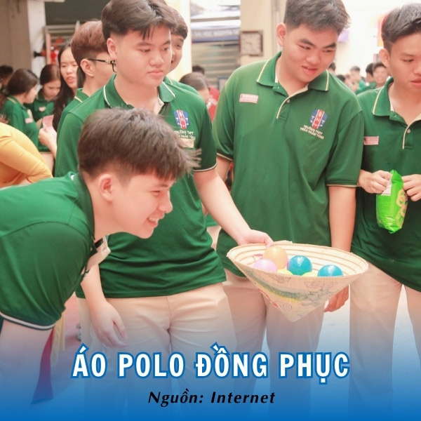 Áo polo đồng phục trường THPT Trần Nhân Tông bắt mắt