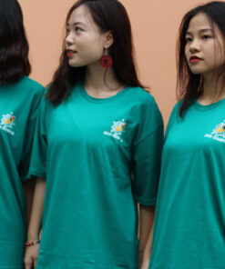 Mẫu Áo Lớp Oversize Cổ Tròn Màu Lý AK30 - ảnh 2
