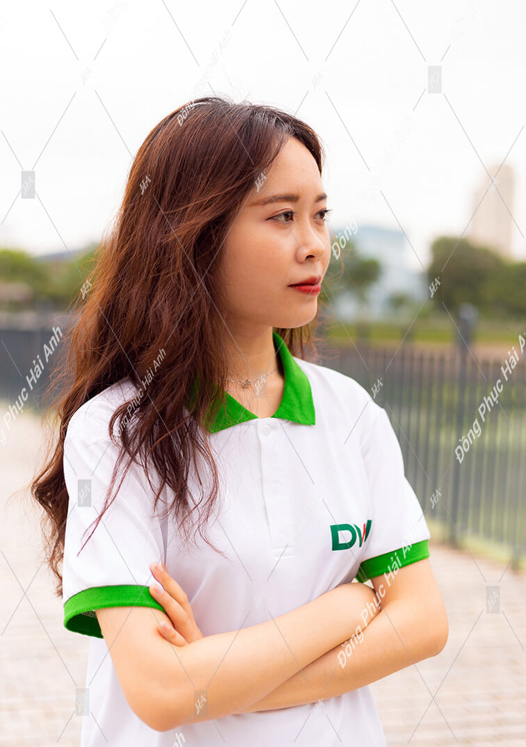 Áo thun đồng phục công ty DVN