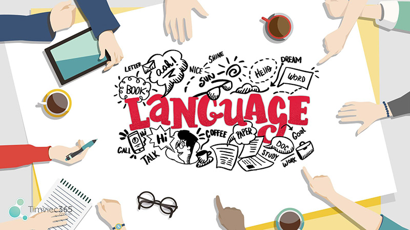 Ngôn ngữ Anh ứng dụng được trong nhiều ngành nghề