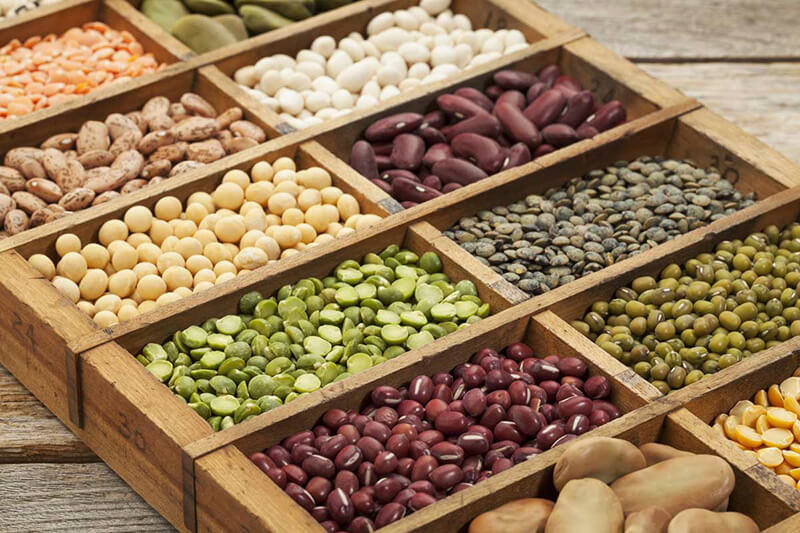 Các loại đậu rất giàu đạm, chất khoáng, vitamin tốt cho sĩ tử ôn thi